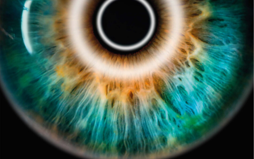 Concord EQUINOX RedDot Broschüre