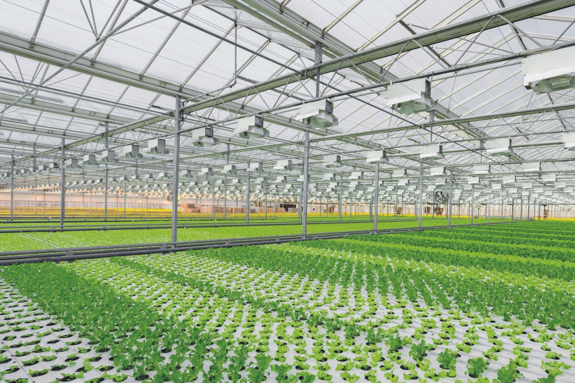Luminaire pour agriculture en intérieur