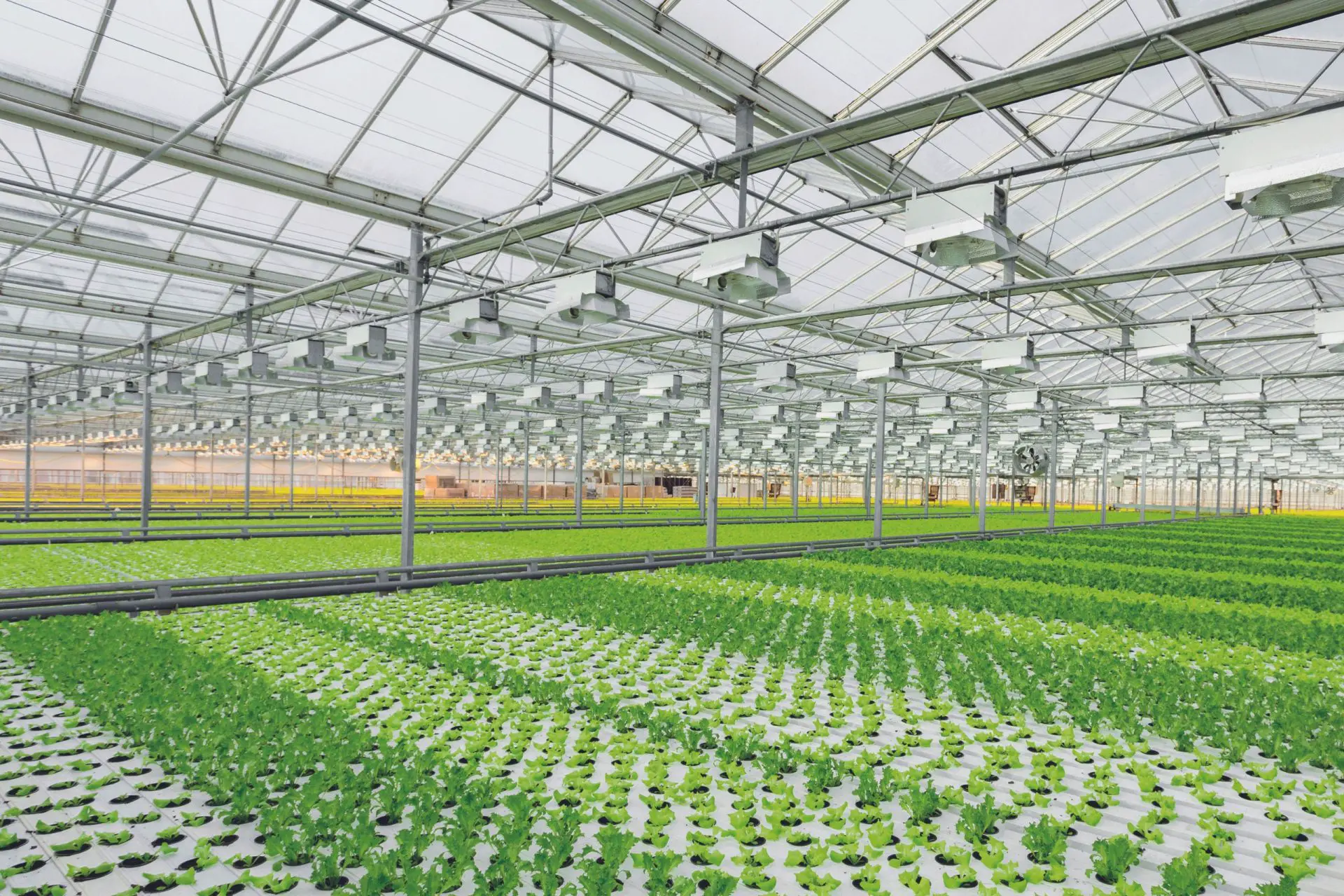 Indoor farming