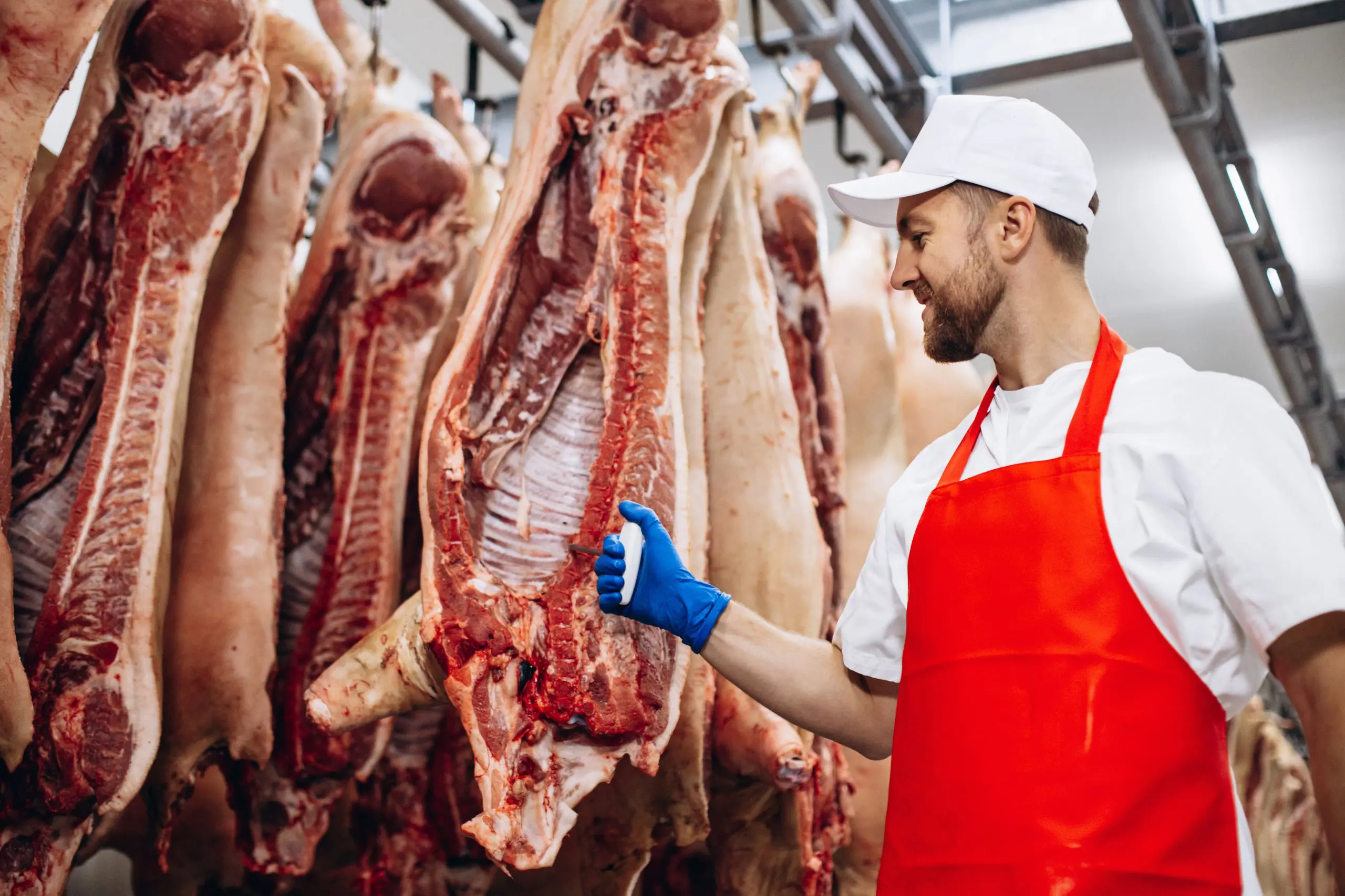 Abattoirs