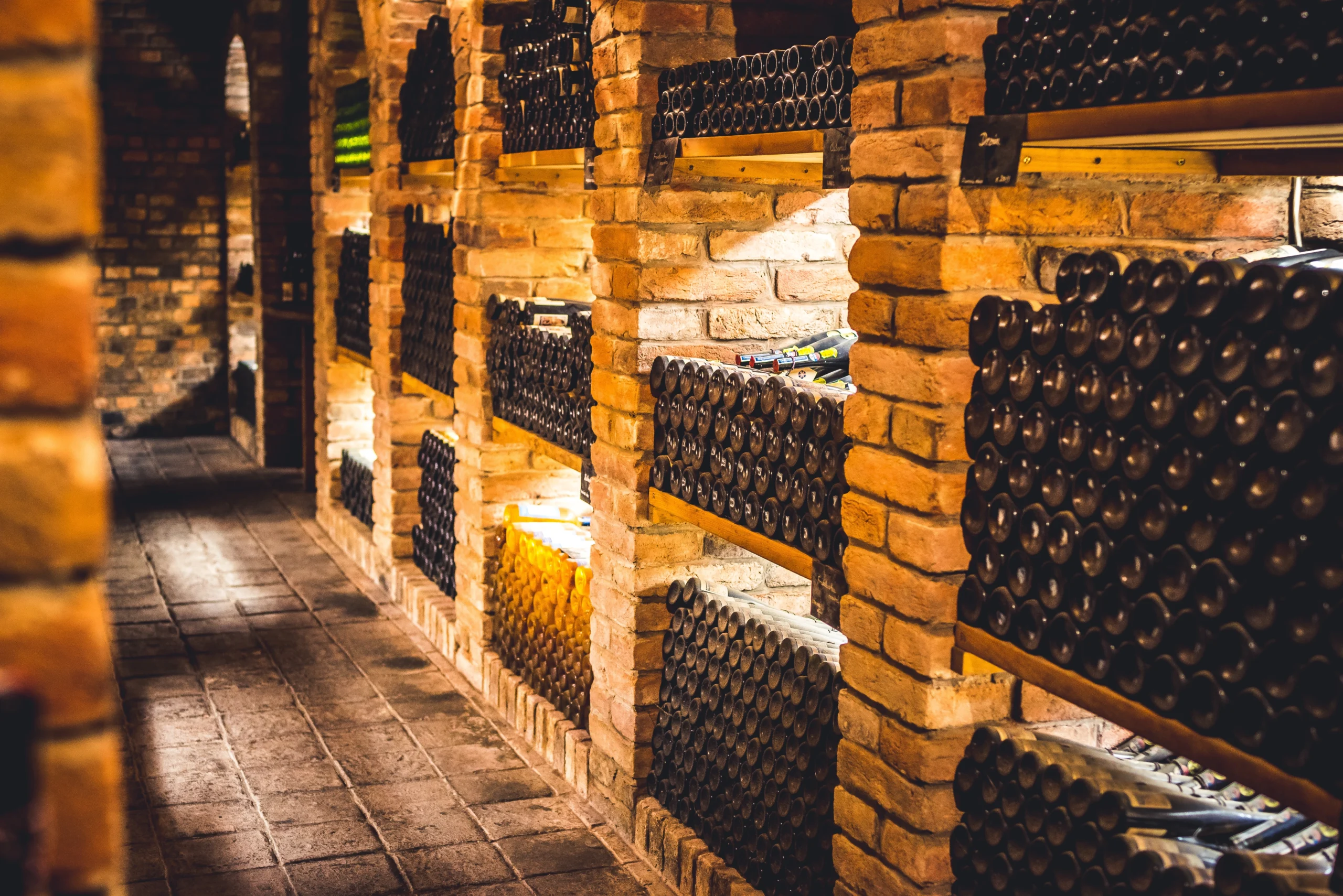 Wine bottles stored horizontally in brick cellar racks under warm ambient lighting in an underground storage environment.